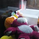 둘리인형뽑기방 이미지