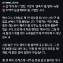 🟥 부산 사하구에서 길고양이 학대사건이 일어났소. 엄벌을 요구하는 서명 부탁드리오 (클릭주의) 🟥 이미지