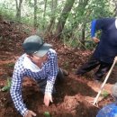 코리아농장 이미지