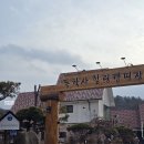 [충남 공주] 넓은 잔디밭 사이트와 산봉우리 뷰 &lt;동학사힐링캠핑장🏕&gt; 내돈내산 캠핑후기