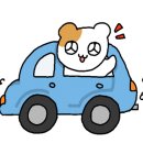 하이영진 이미지