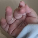 캔디캣 | 아기 이앓이 시기 증상 완화, 내돈내산 오사닛캔디 효과 사용법 - 원더웍스 광명 찾은 후기