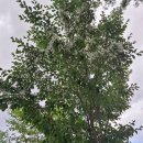 자연밸리 관광농원 이미지