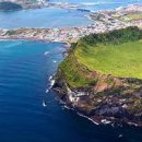 제주 성산 가볼만한곳 아쿠아리움 제주 아쿠아플라넷 할인 실내 데이트 이미지