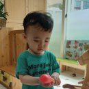 송이 어린이집 이미지