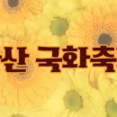 도토리부동산공인중개사사무소 이미지