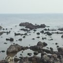 H2596 네이버블로그