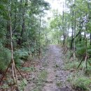 무궁화꽃이피었습니다 이미지