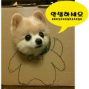 황남쫀드기 이미지