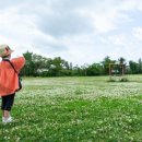 그리니제주 이미지