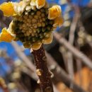 저전나눔터 이미지