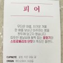 와이컴퍼니 이미지