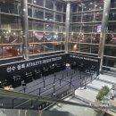 서울가축 | HYROX SEOUL 하이록스 서울 2025 다녀온 후기