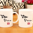 애견샵 어린왕자 이미지