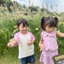 목화세차장 이미지