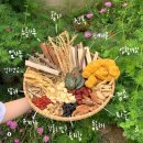 자연애오리 이미지