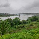 반구정습지 이미지