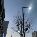 맥도날드서울시흥DT점 이미지