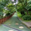 웅남주민운동장 축구장 이미지