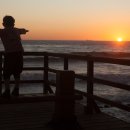 리틀보이(Little Boy) 이미지