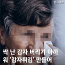 싹 난 감자 버리기 아까워 감자튀김 만들어 손녀에게 먹인 할머니 이미지