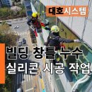대호빌딩 | 고층 빌딩창틀 누수 실리콘 보수, 전문 로프공업체로 안전하게 완벽 해결