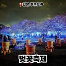 일본 여행지 추천 후쿠오카 여행 마이즈루 공원 후쿠오카성터 벚꽃축제 라이트업 후기