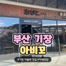 하이포크돈까스전문점 | 부산 기장 롯데몰 동부산아울렛 밥집 일본식 카레 전문점 아비꼬 하이라이스 돈까스 식당 맛집