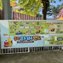 탄금카랜드 이미지