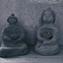 흙과나무 Daum카페