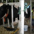 현우목장 이미지