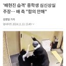 '배현진 습격' 중학생 심신상실 주장… 배 측 "합의 안해" 이미지