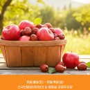 밀양대추 네이버블로그