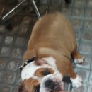 자양동물병원 이미지