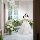 라온제나 이미지