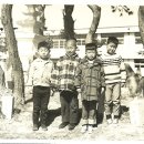 발라댕 Daum카페