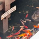 신라초등학교 | 경주 황리단길 맛집 _ “ 복길 ” 가족여행식당 추천 뷰맛집 한식 솥밥전문점