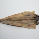 서호동-52 이미지