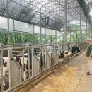 심화목장 이미지