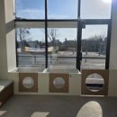 뽀독뽀DOG 이미지