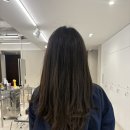 신사동 미용실 비오른헤어 압구정로데오점 레이어드컷 후기