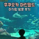 마린레스토랑 | 후쿠오카 마린월드 하카타 택시 이동, 돌고래 쇼 공연 아쿠아리움 레스토랑 점심 식사 후기