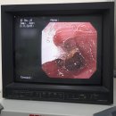 어울동물의료센터 이미지