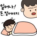 투어바웃
