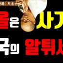 소프트레볼루션스
