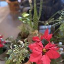 희재목장 이미지