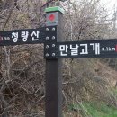 월영동236 이미지