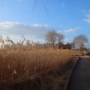 배곧생명공원 이미지