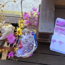 정관아이숲유치원 이미지