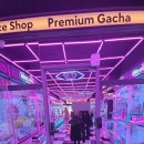 뽑기랜드 | [내돈내산] 익산 모현동 코코랜드 인형뽑기 솔직후기 [익산핫플]